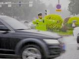 河北省多地多举措全力防范应对强降雨
