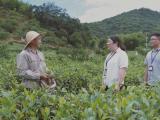 深度关注 | 减出新气象 干出精气神