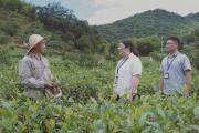 深度关注 | 减出新气象 干出精气神
