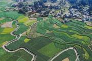 因地制宜改善农村人居环境