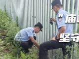 暴雨烈日喂蚊子，山顶找信号报平安！这群藏蓝身影在深山护航钢铁动脉