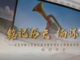 铭记历史 缅怀先烈丨红旗漫卷大鹏湾