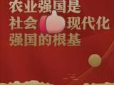 农业强国建设步履铿锵