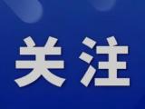 网信部门整治假冒仿冒“自媒体”账号 处置违规账号3008个