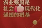 农业强国建设步履铿锵