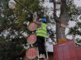 踔厉奋发新征程丨信息化点亮美好乡村