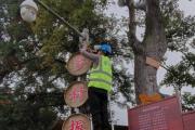 踔厉奋发新征程丨信息化点亮美好乡村