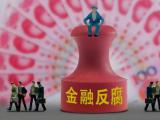 国家开发银行原资深专家王学东接受审查调查