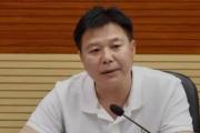 广西检察机关依法对陈华决定逮捕
