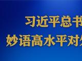 学习进行时丨习近平总书记妙语高水平对外开放