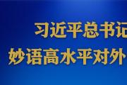 学习进行时丨习近平总书记妙语高水平对外开放