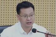 广西百色农林投资发展集团有限公司党委书记、董事长唐星善接受纪律审查和监察调查