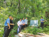 深山中的“红色兵工厂”重现历史轮廓