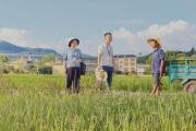 贯彻落实四次全会精神·年中看进展丨规范乡镇财政资金管理