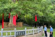 从刻字缠红布到全民守护：看黑科技如何给6477棵古树办“电子身份证”