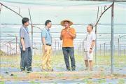 贯彻落实四次全会精神·年中看进展  织密“监督一张网”