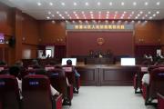 以联络赋新能 以监督促规范 湖北黄石法院做深做实代表委员联络工作