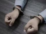 重大职务犯罪嫌疑人梁小菲被遣返回国