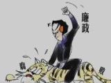 中国石油贵州销售分公司原副总经理袁瑞森接受审查调查