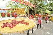 深度关注丨共同奔向中国式现代化的美好未来