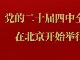 中国共产党第二十届中央委员会第四次全体会议在北京举行