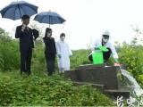 柏临河治理:宜昌伍家岗区检察院的 “生态守护战”