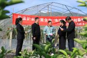 湖北省黄石市西塞山区：果园里的“解纷会诊” 司法护航乡村振兴