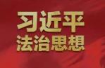 习近平法治思想引领新时代法治中国建设述评