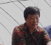 北京房山区窦店镇北柳村党支部原书记、村委会主任、经济合作社社长林彩霞接受审查调查