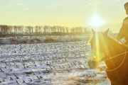 迎风踏雪，他们是“马背上的户籍员”