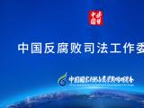 中国反腐败司法工作委员会