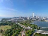 中国首个万亿GDP地市辖区在粤港澳大湾区诞生