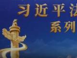 《习近平法治思想系列讲读》 第6集 法律监督守护公正底线