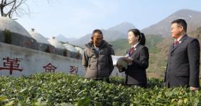 河南信阳：回访红色资源