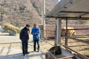 北京怀柔法院“活封+协商”，养牛场有了翻身希望