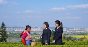 四川洪雅：到辖区生态茶园开展实地走访