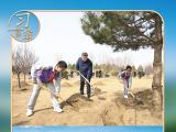 习言道｜连续14年参加首都义务植树，总书记关切这件大事
