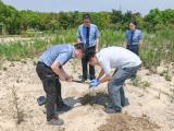 植绿护绿 上海检察机关三级联动守好城市生态“生命线”
