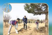 习言道｜连续14年参加首都义务植树，总书记关切这件大事