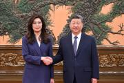 习近平总书记会见中国国民党主席郑丽文