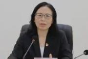 广东省湛江市人大常委会原党组副书记陈云接受审查调查
