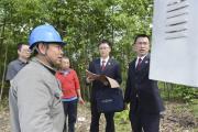 重庆云阳检院“政企民”协同治理“线电矛盾” 为林间电线穿上“绝缘衣”