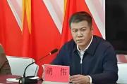 吉林靖宇县人民政府党组成员、副县长胡伟接受审查调查