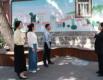 铁纪守护精致城市 正气充盈和美画卷  记山东省“铁纪护航”先进集体、威海市环翠区纪委监委