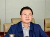 湖南建设投资集团有限责任公司党委书记、董事长蔡典维接受审查调查