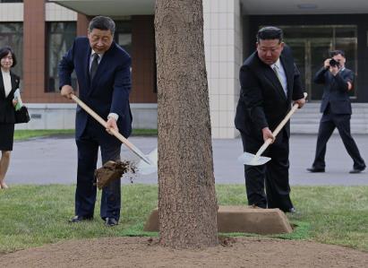 此行间·习近平和金正恩共同种下一株枞树
