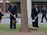 此行间·习近平和金正恩共同种下一株枞树