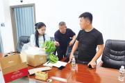 香蕉皮长小黑点，收购方拒收4万多斤香蕉！海南省澄迈县综治中心联动多部门成功调解