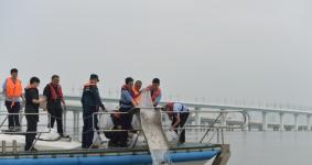 福建厦门同安：百万尾鱼苗跃入碧波