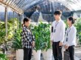 湖北高标准严要求锻造纪检监察铁军  强组织 练内功 提质效